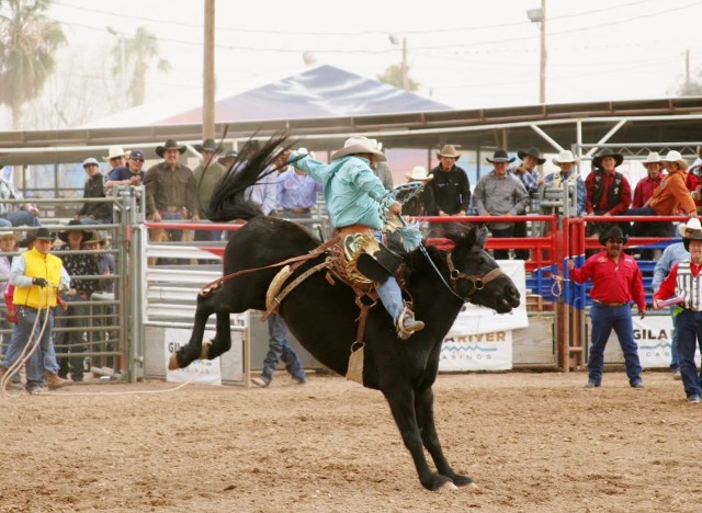 T/D rodeo photo 