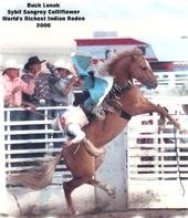 2006 Sybil Sangrey Colliflower memorial rodeo Buck Lunak
